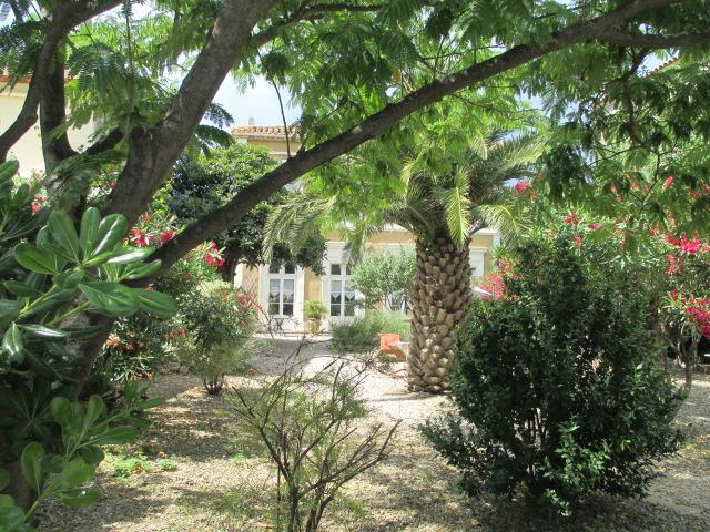La Maison Des Palmiers Homps  Exteriör bild