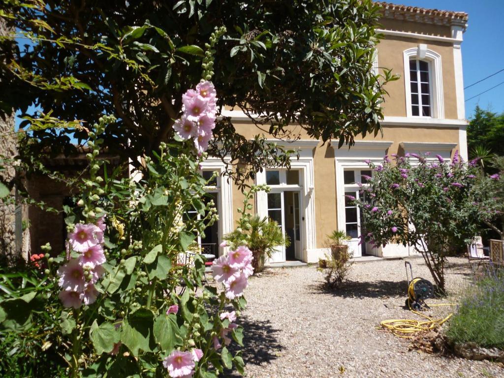 La Maison Des Palmiers Homps  Exteriör bild