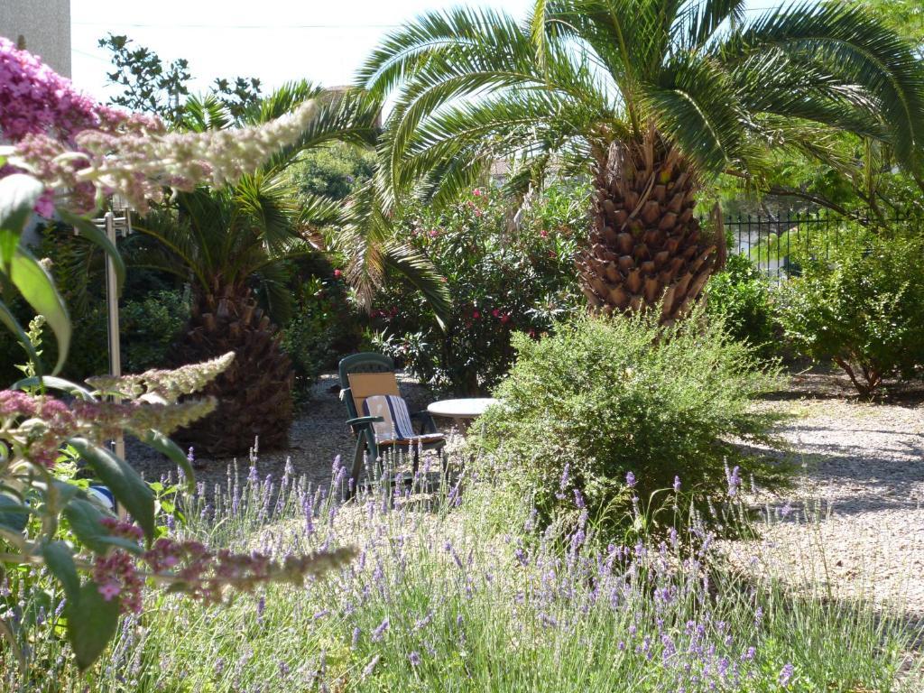 La Maison Des Palmiers Homps  Exteriör bild