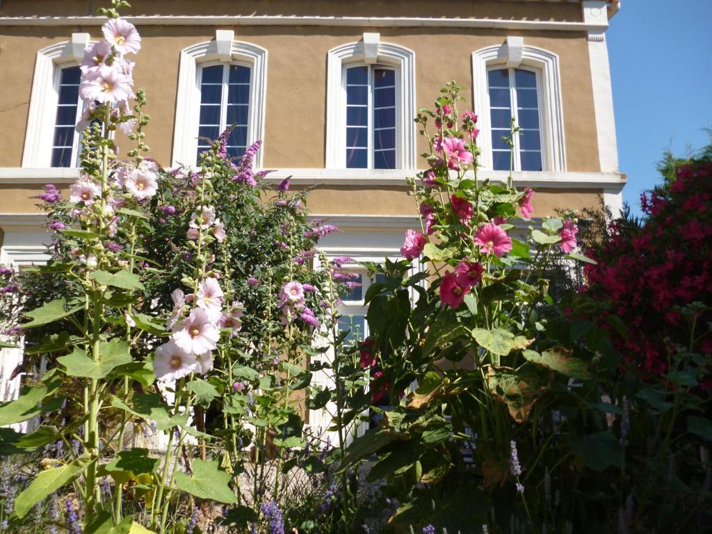 La Maison Des Palmiers Homps  Exteriör bild